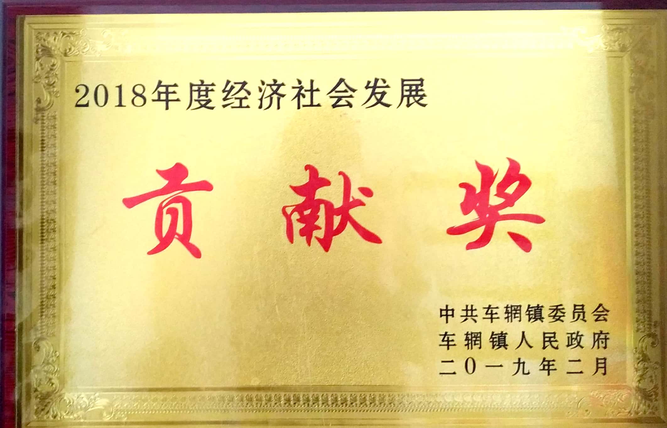 2018年度經(jīng)濟(jì)社會(huì)發(fā)展貢獻(xiàn)獎(jiǎng).jpg